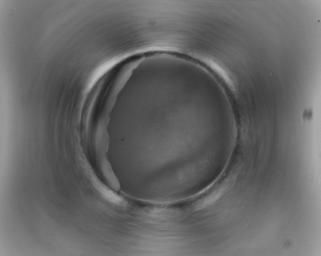 X0000091911077200709051413