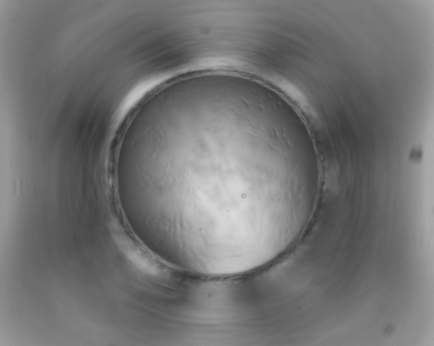 X0000091911078200709051413