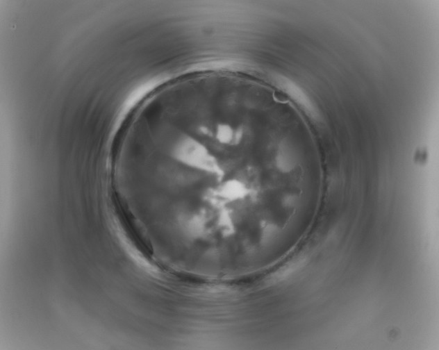 X0000091911079200709051413