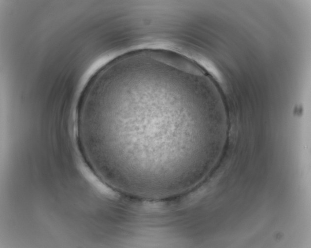 X0000091911080200709051413