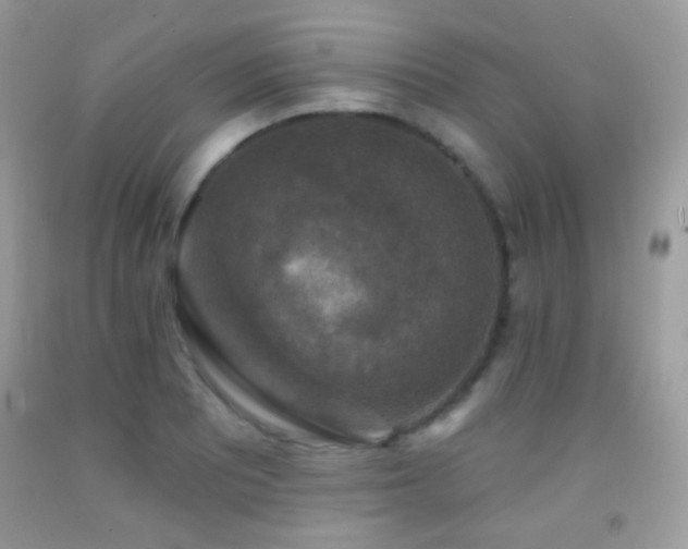 X0000091911081200709051413