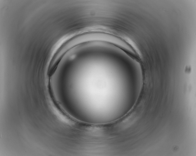 X0000091911082200709051413