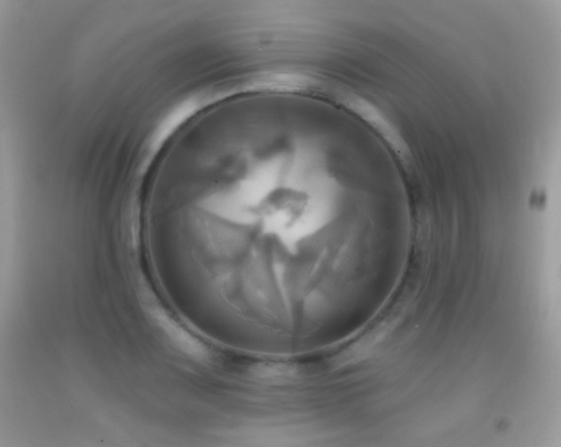 X0000091911083200709051413