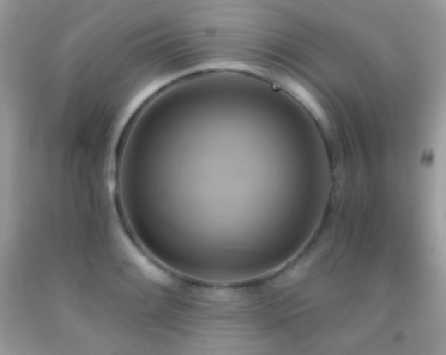 X0000091911084200709051413