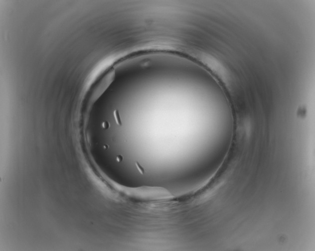X0000091911085200709051413