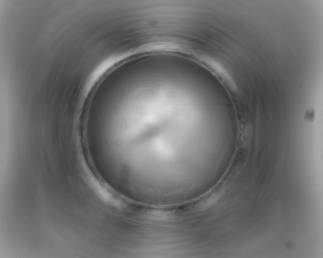 X0000091911086200709051413