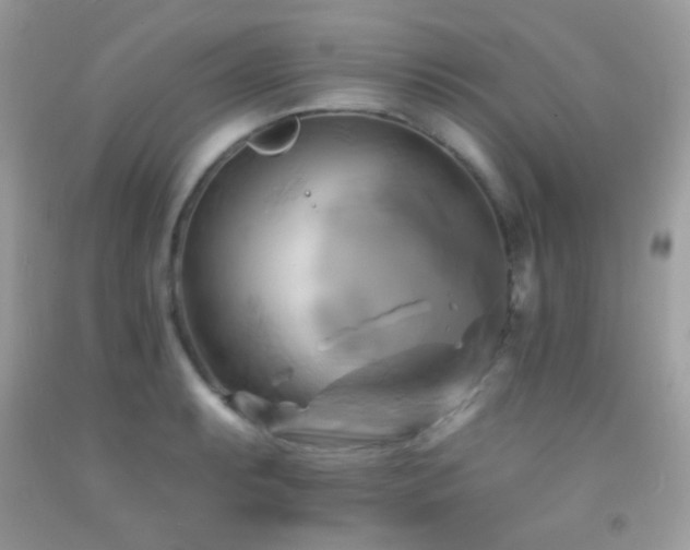 X0000091911087200709051413