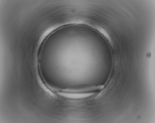 X0000091911088200709051413