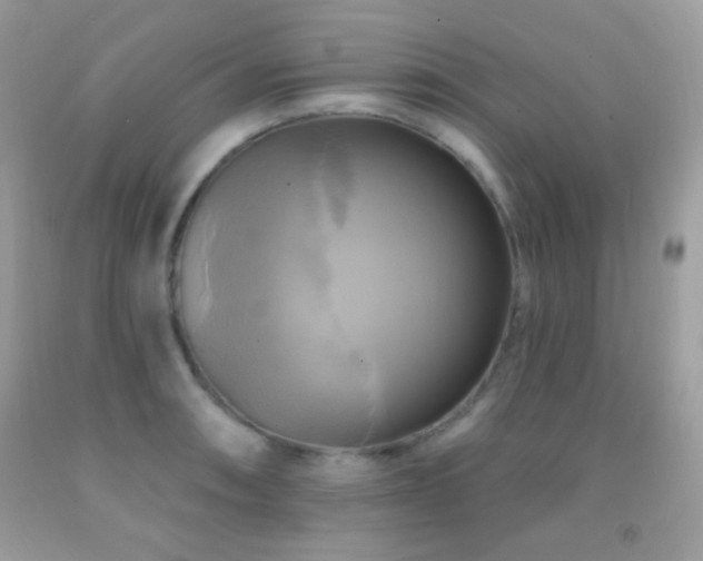 X0000091911090200709051413