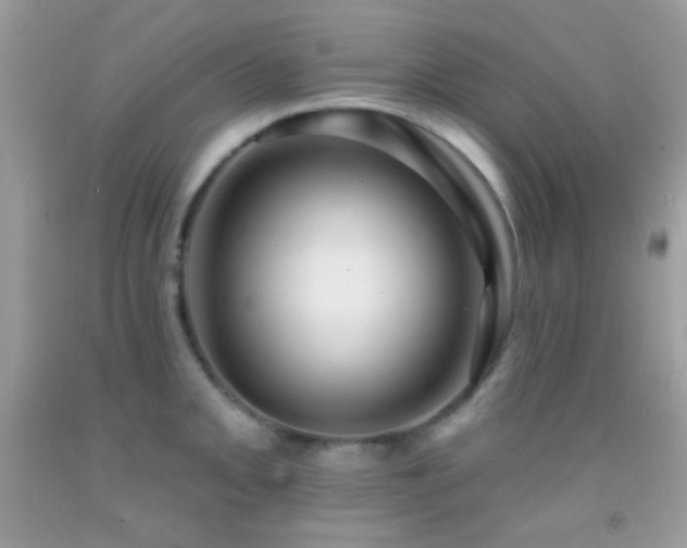 X0000091911093200709051413