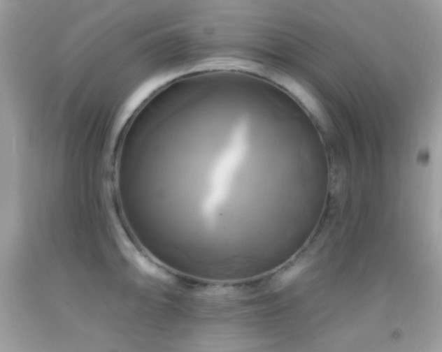 X0000091911094200709051413