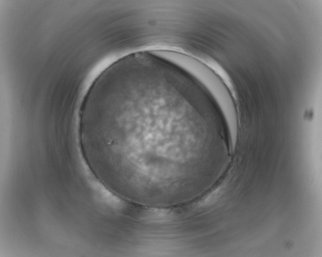 X0000091911096200709051413