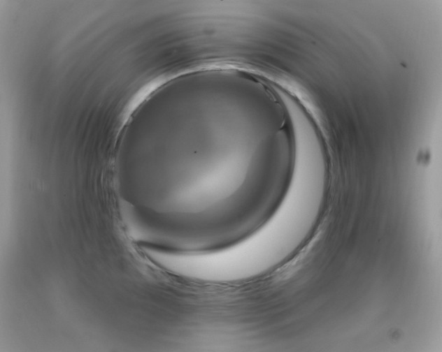 X0000091911097200709051413