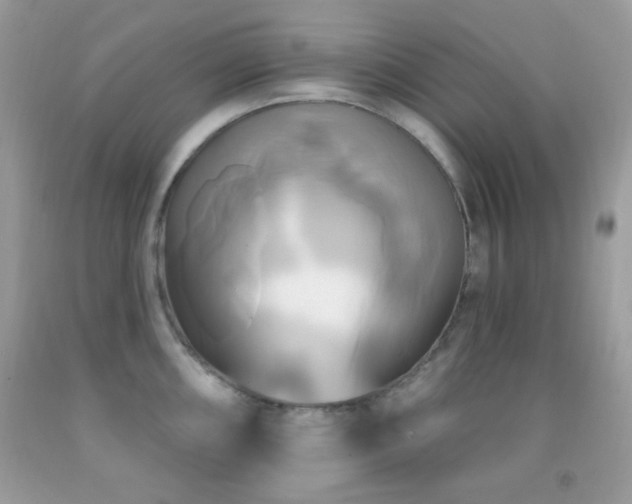 X0000091911098200709051413