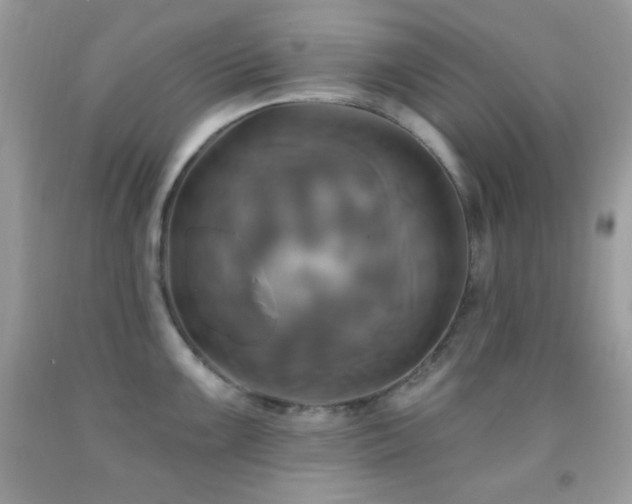 X0000091911099200709051413
