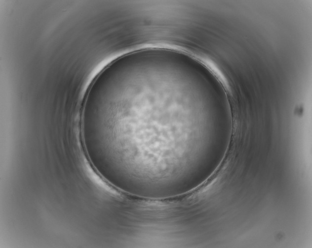 X0000091911100200709051413