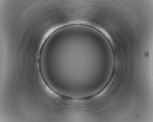 X0000091911102200709051413