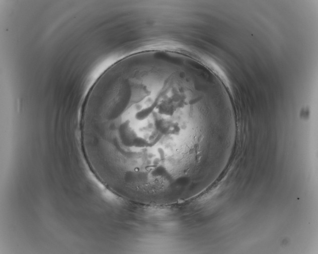 X0000091911103200709051413