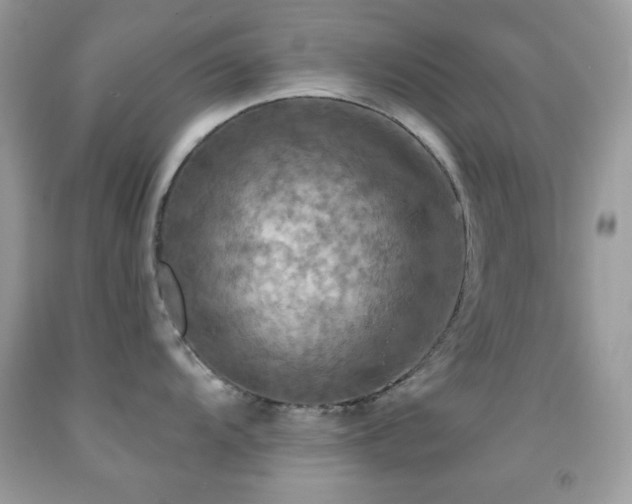 X0000091911104200709051413