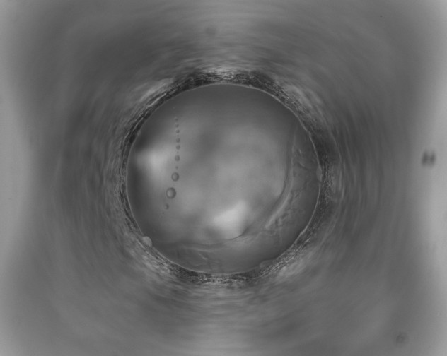X0000091911105200709051412