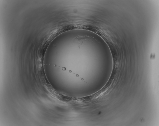 X0000091911106200709051412