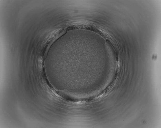 X0000091911108200709051412