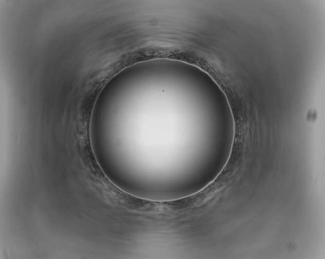 X0000091911109200709051413