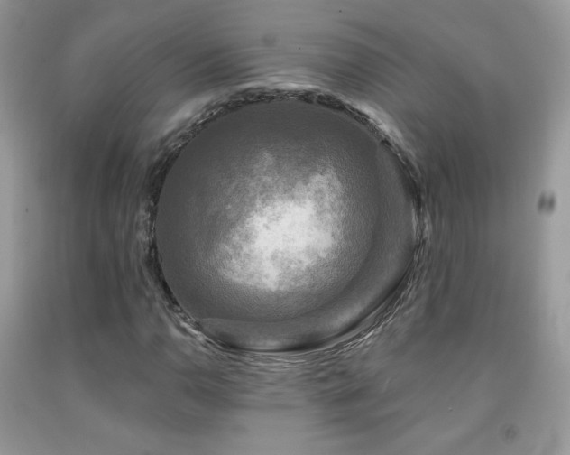 X0000091911110200709051413