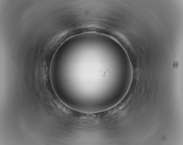 X0000091911111200709051413