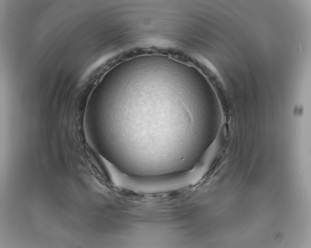 X0000091911112200709051413