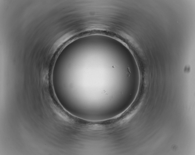 X0000091911113200709051413