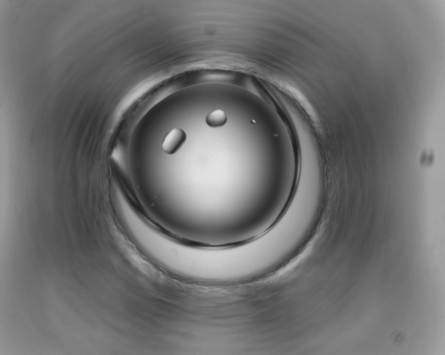 X0000091911114200709051413