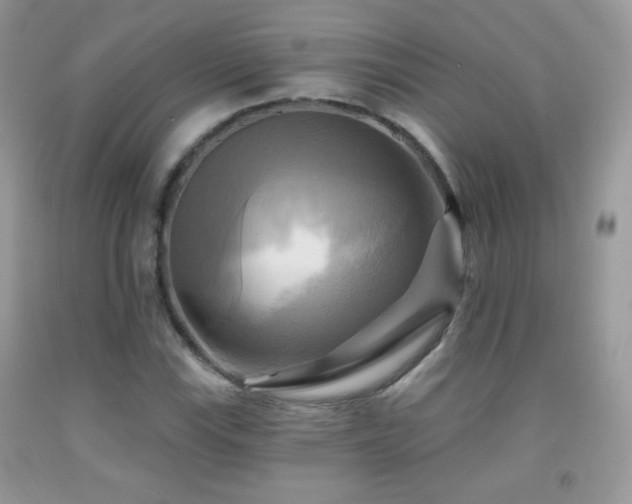 X0000091911115200709051413