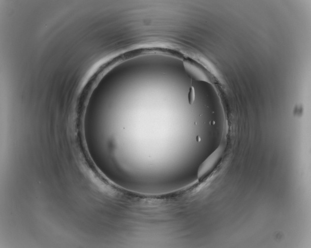 X0000091911116200709051413