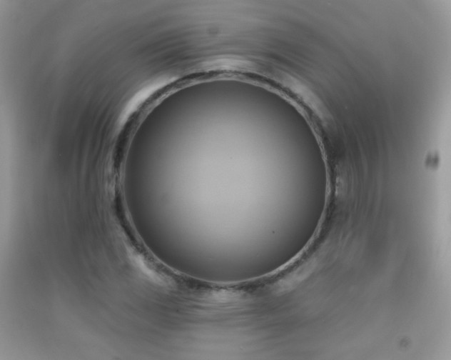 X0000091911117200709051413