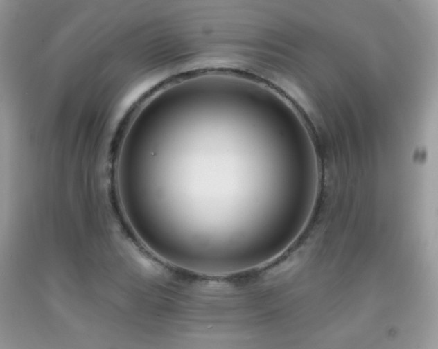 X0000091911119200709051413