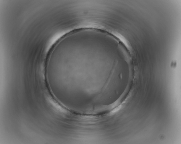 X0000091911120200709051413