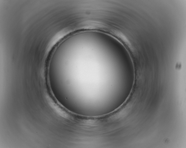 X0000091911122200709051413