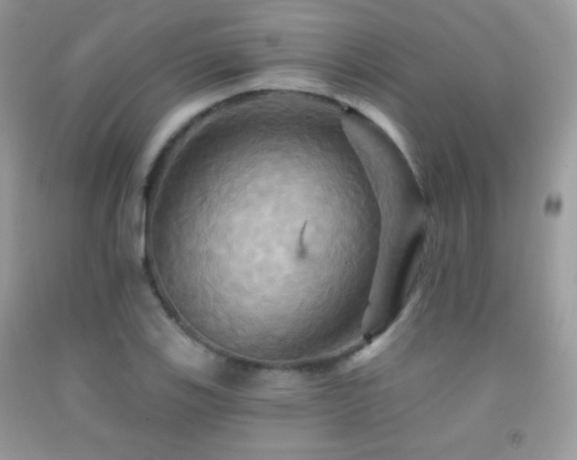 X0000091911123200709051413