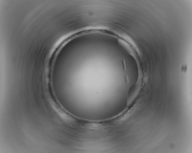 X0000091911124200709051413