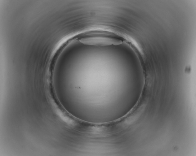 X0000091911125200709051413