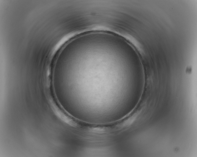 X0000091911126200709051413