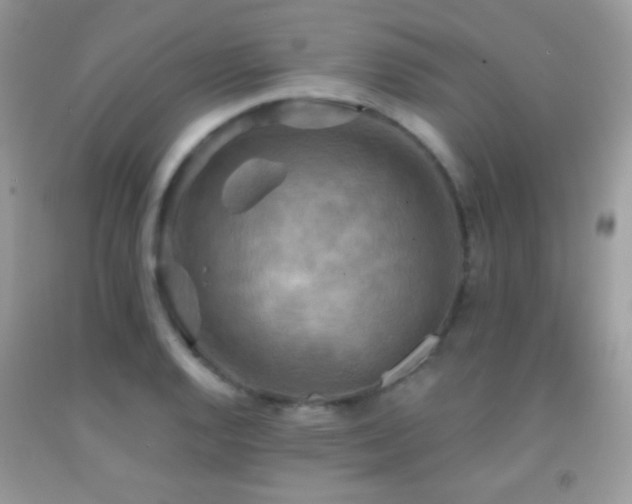 X0000091911128200709051413