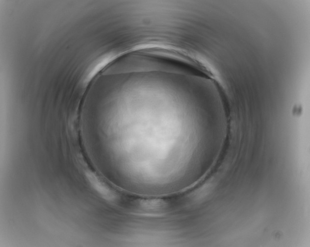 X0000091911129200709051413