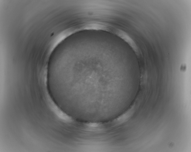 X0000091911130200709051413