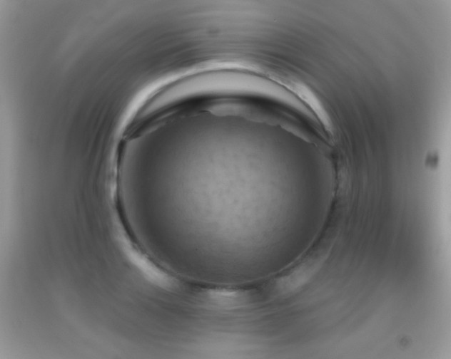 X0000091911132200709051413