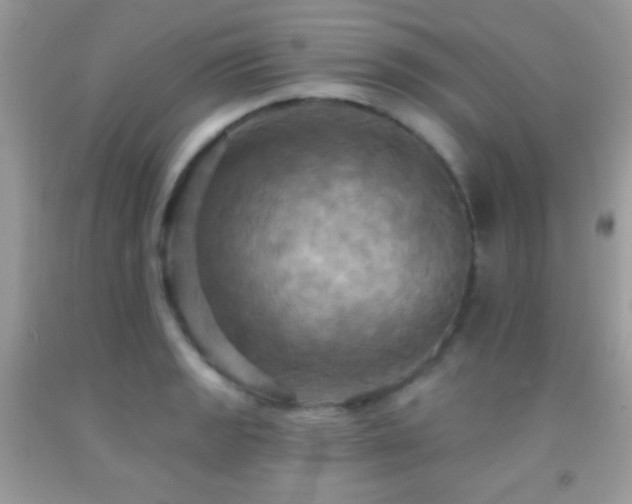 X0000091911133200709051413