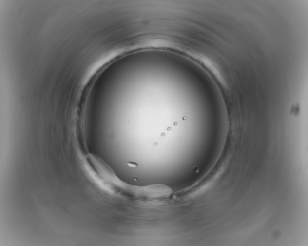 X0000091911134200709051413