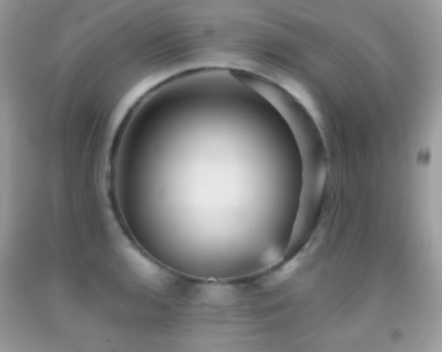 X0000091911136200709051413