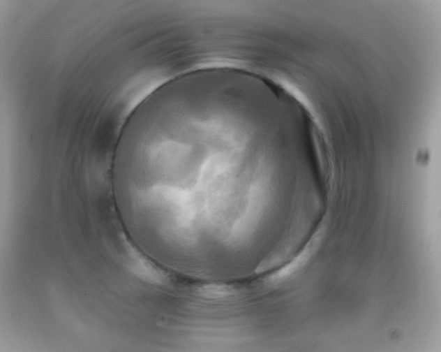 X0000091911137200709051413